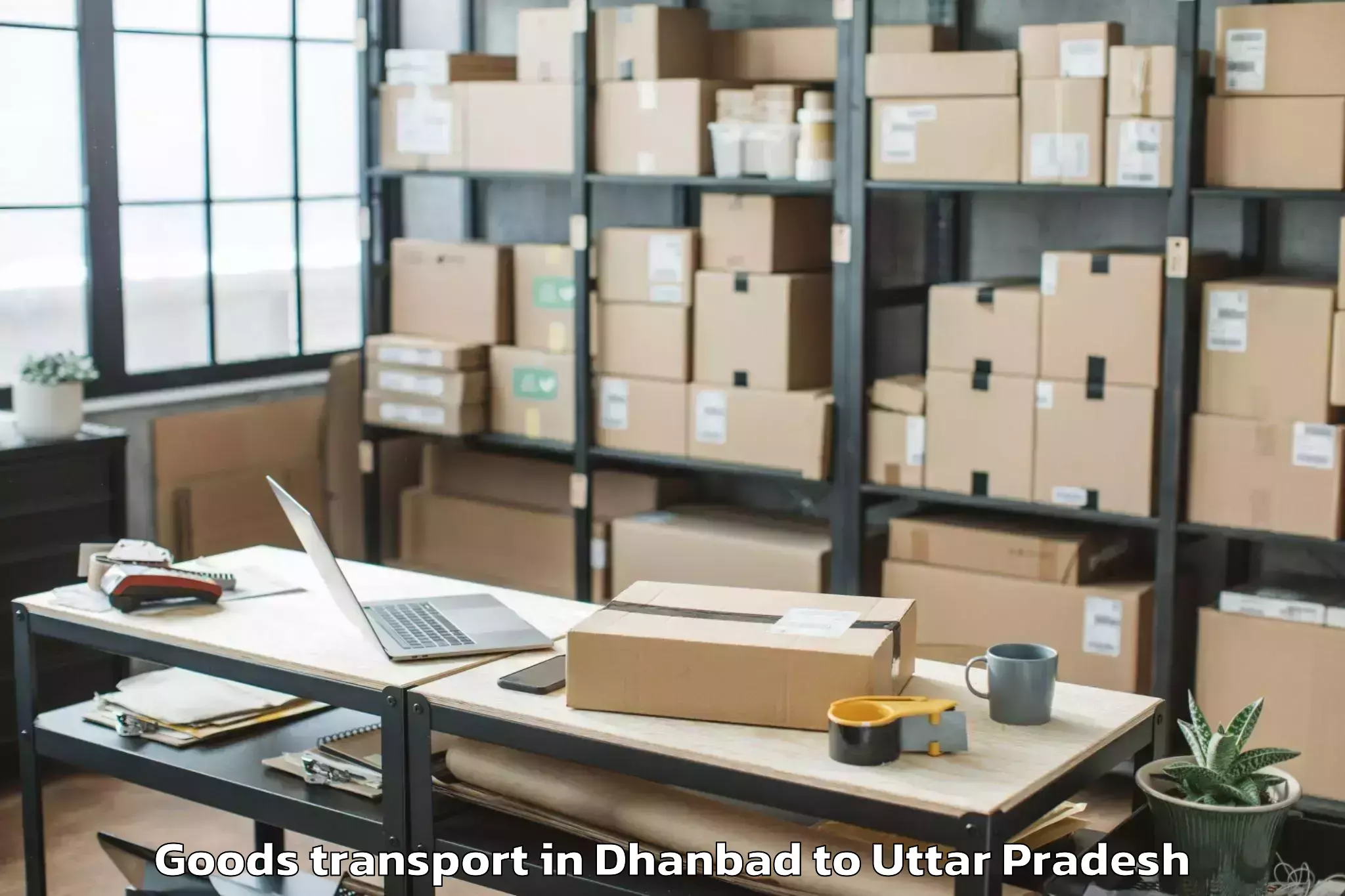 Quality Dhanbad to Manjhanpur Goods Transport